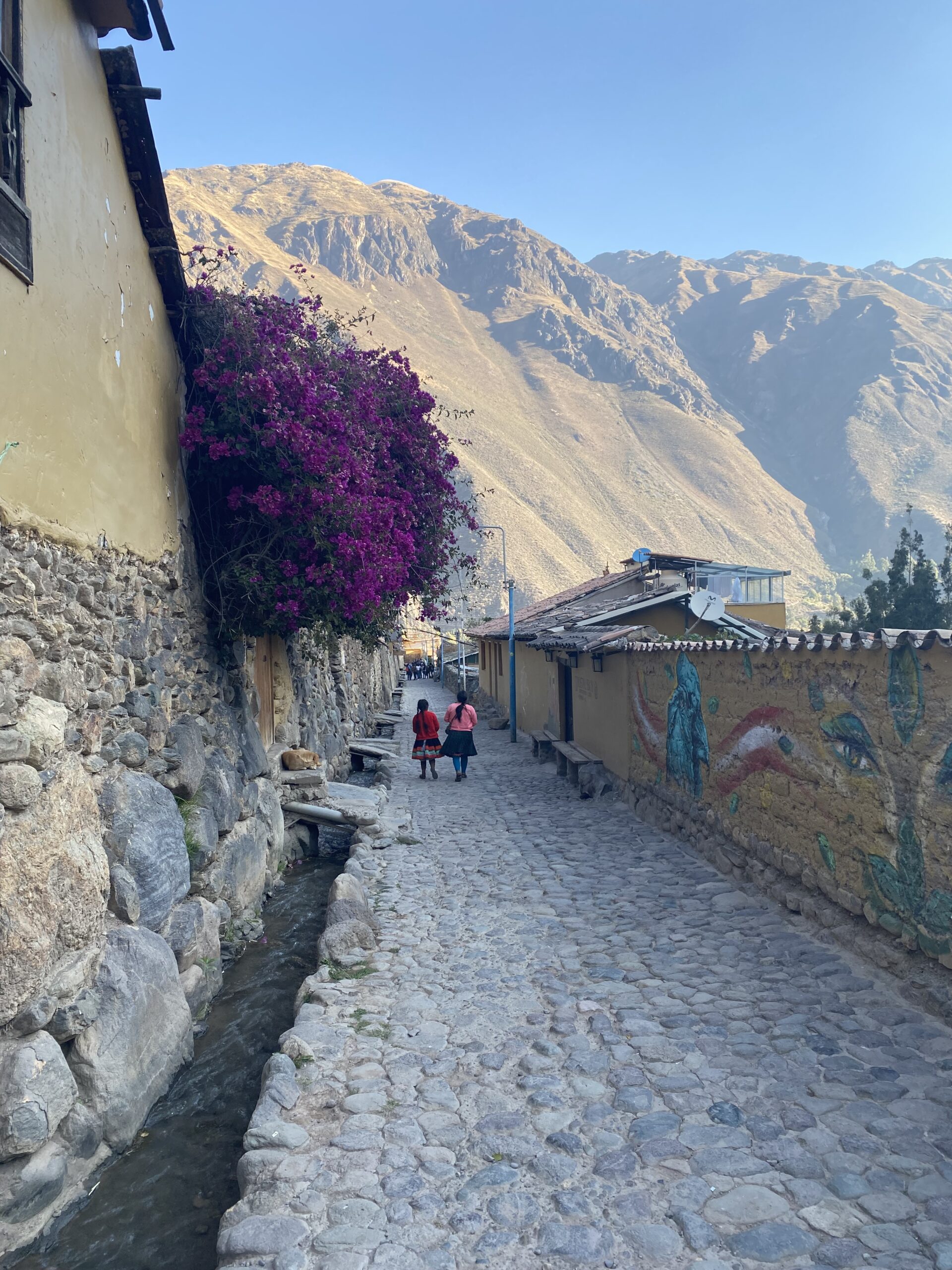 Stradina acciottolata di Ollantaytambo con canale incaico e fiori fucsia